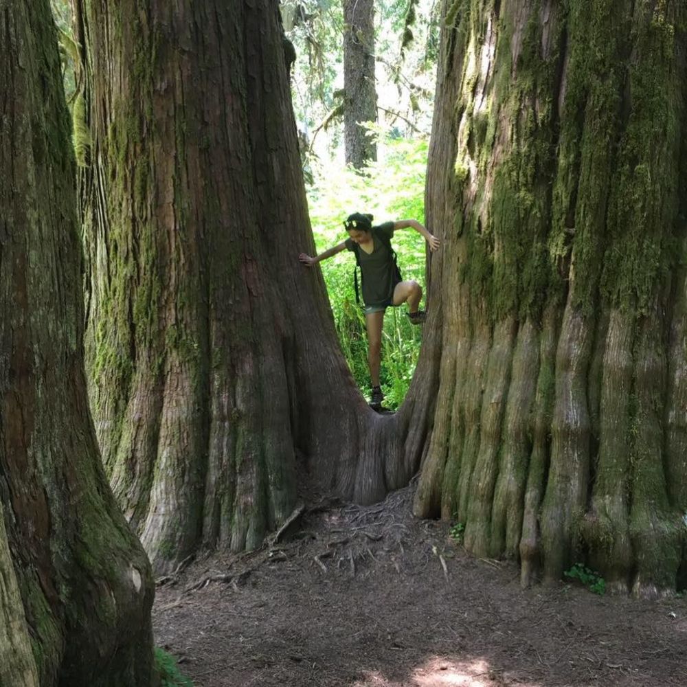 Meet your Posher, Meini